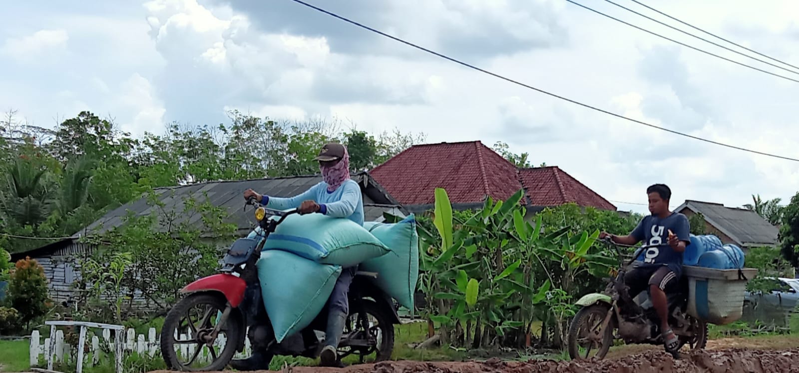 Harga Gabah Kering Panen Mesuji Lampung Melambung, Segini Sekarang Harganya