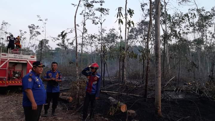 Warga Mesuji Dilarang Buka Lahan dengan Cara Dibakar, Ini Konsekuensinya