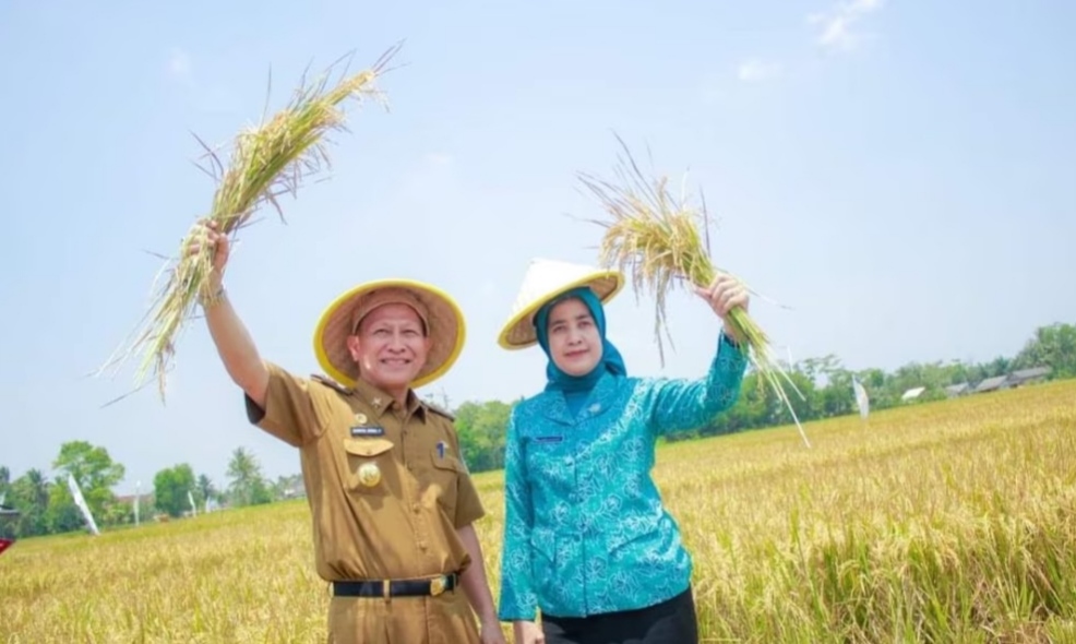 Tulang Bawang Panen Raya 5.610 Ton GKP, Begini Kata Pj Bupati Qudrotul Ikhwan