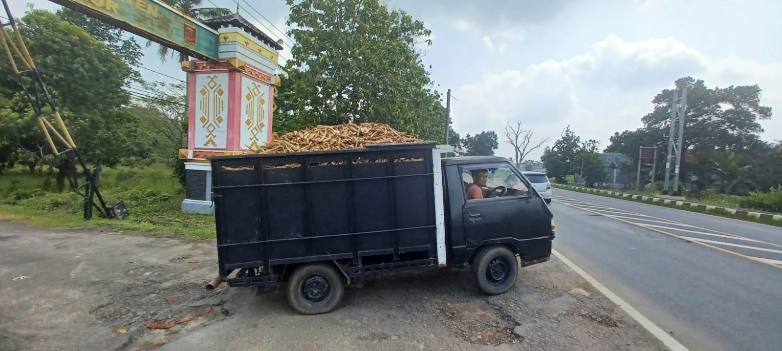 Alhamdulillah Harga Singkong di Lampung Naik, Segini Sekarang