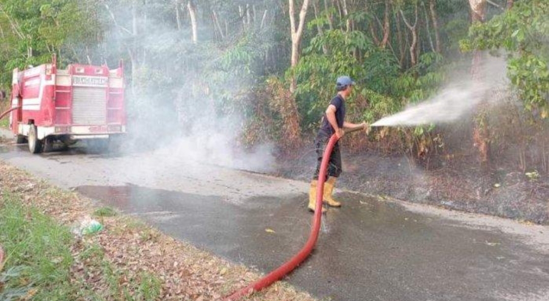 Warga Menggala Tulang Bawang Lapor Damkar, Ada Lahan Perkebunan Karet Dekat Pemukiman Terbakar