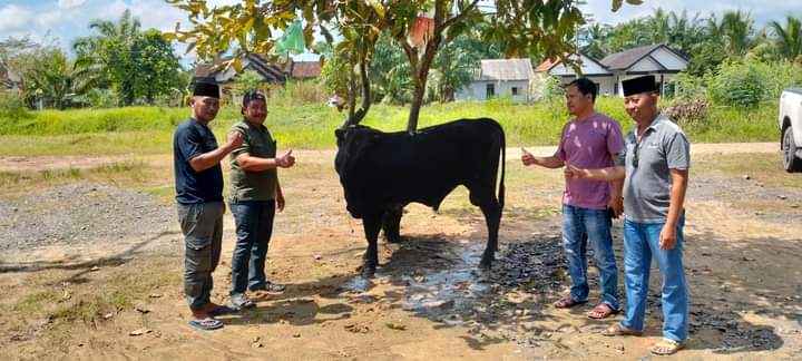 Hewan Kurban di Kabupaten Mesuji Tembus 2.174 Ekor, Ini Rinciannya