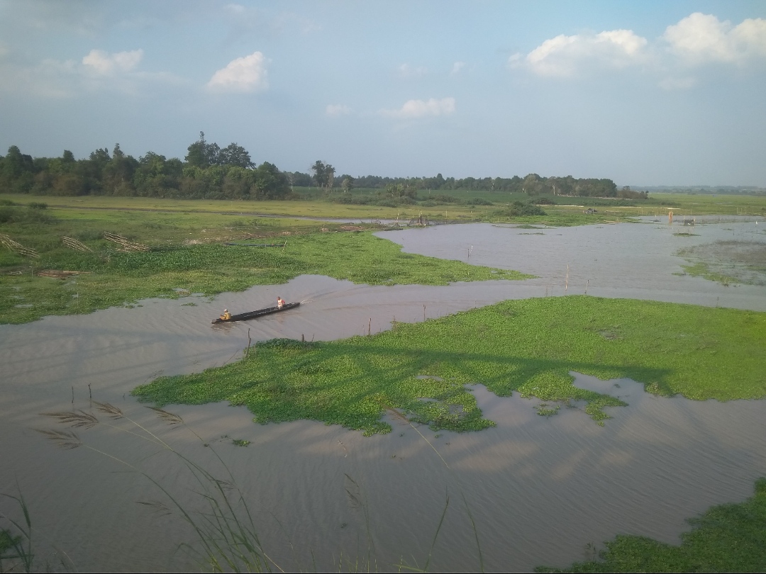 Ikan Sungai Kerap Diracun, Nelayan Way Kiri Tulang Bawang Barat Merugi Besar