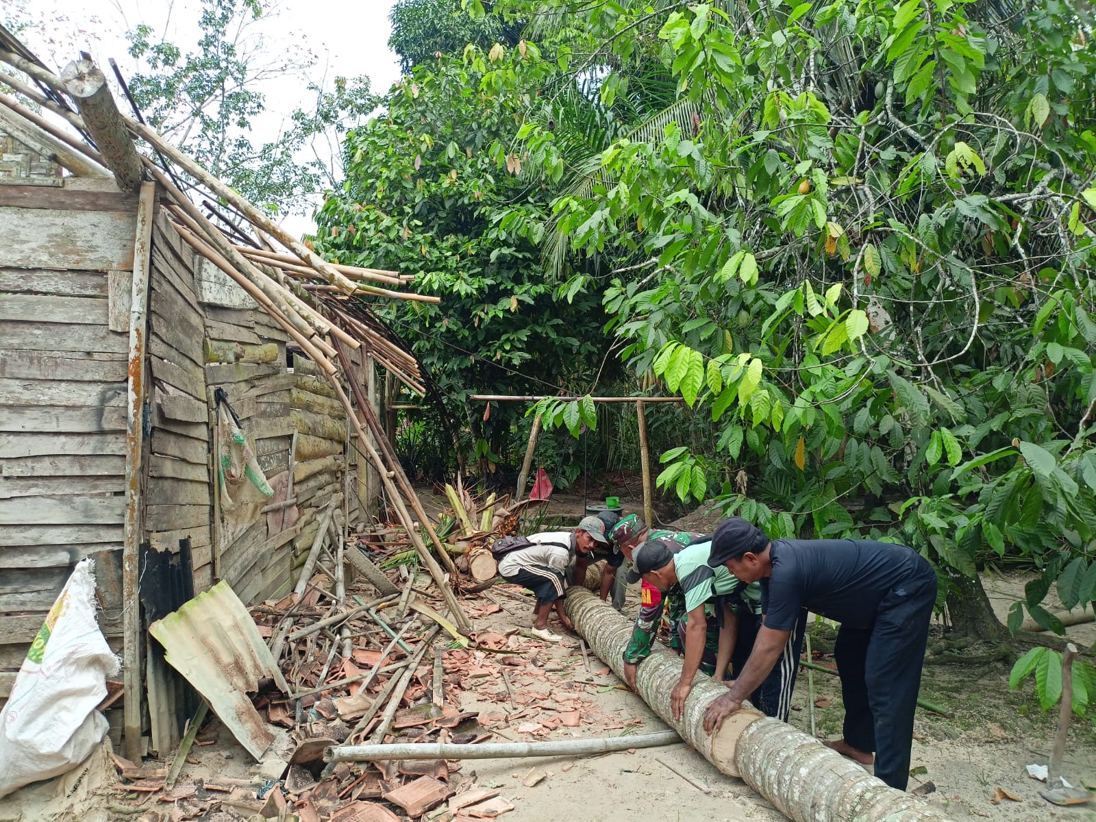 Sedih, Rumah Papan Warga Mesuji Rusak Parah Tertimpa Pohon Kelapa