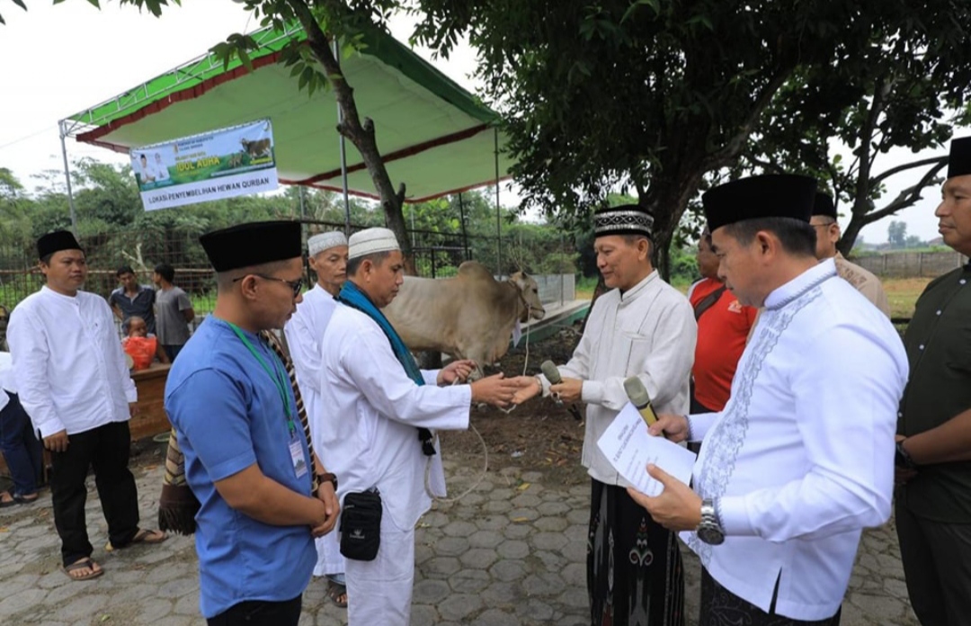 Sembelih 102 Ekor Hewan Ternak, Pj Bupati Tulang Bawang Qudrotul Ikhwan Ungkap Makna Idul Adha