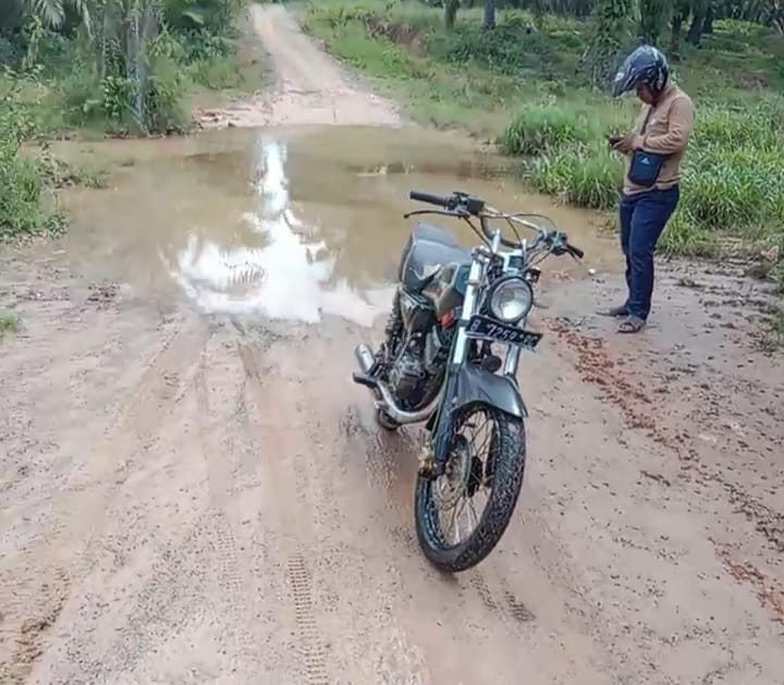 Pemerintah Buka Akses Jalan Baru ke Mesuji Timur, Ini Calon Rutenya