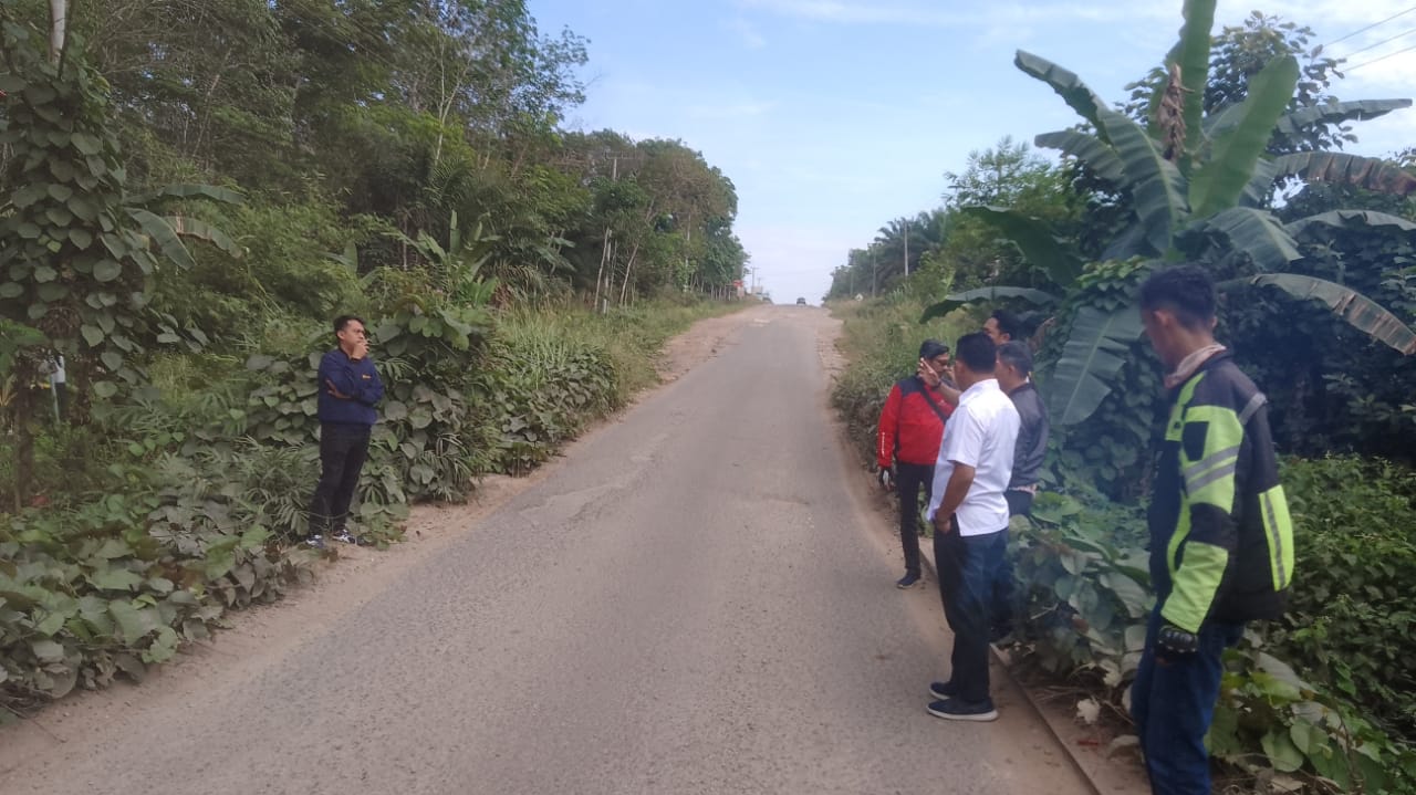 Mesuji Bangun 7,2 Kilometer Jalan Rigid Beton, Ini Rincian dan Lokasinya