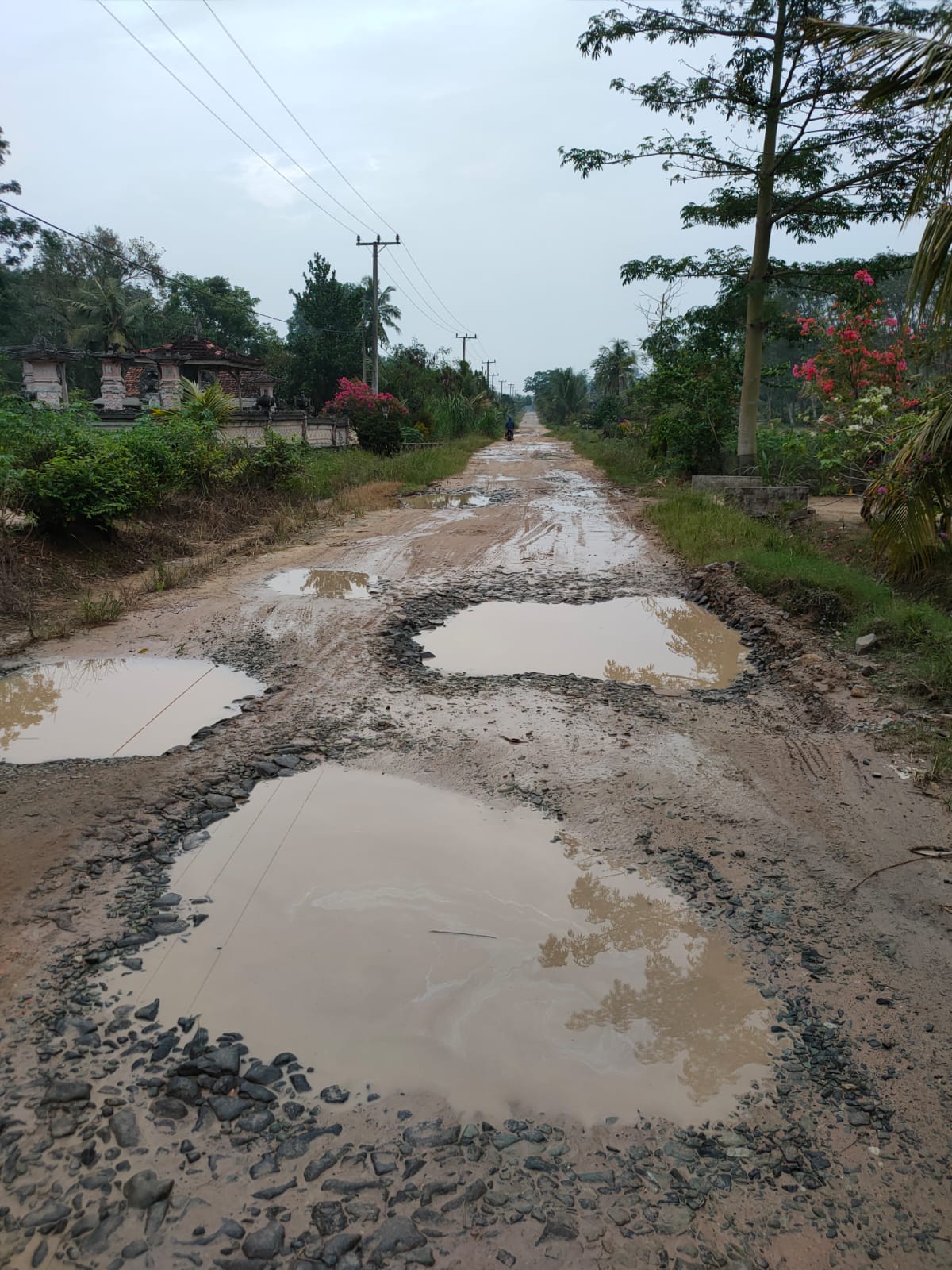 Nahloh, Gara-gara Ini Anggota DPRD Lampung Tengah Ingin Usulkan Raperda Portal Jalan