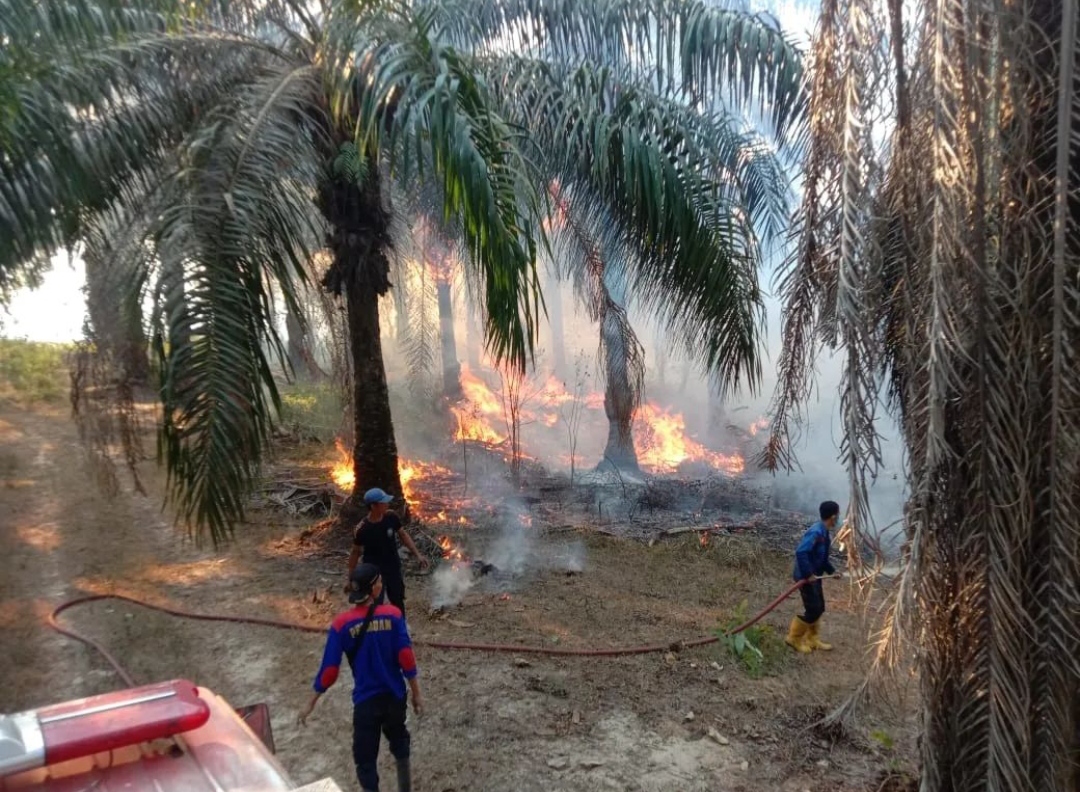 Kasus Kebakaran di Tulang Bawang Meningkat Dua Kali Lipat, Ini Penyebabnya