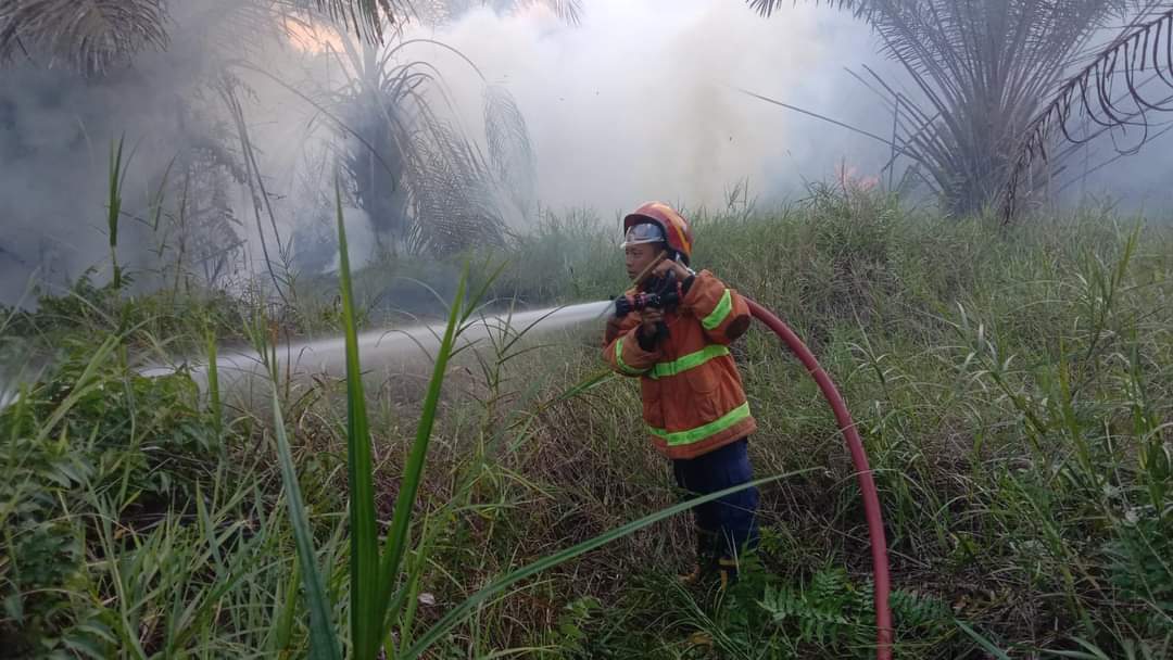 60 Hektare Lahan Perkebunan Sawit Mesuji Milik Salah Satu Perusahaan Terbakar