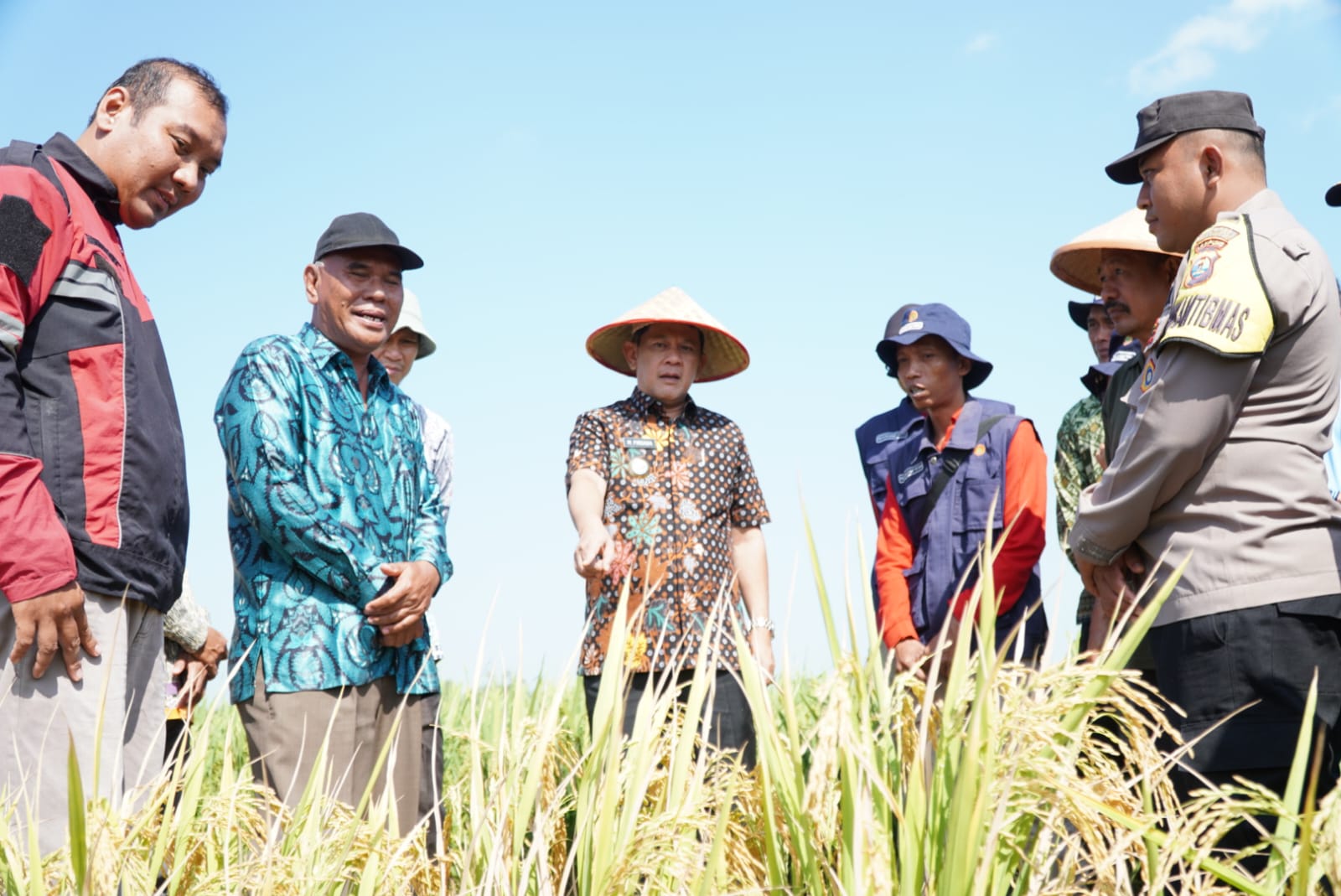 Hadapi Dampak El Nino, Pj Bupati Tulang Bawang Barat Firsada Sarankan Hal Penting Ini Untuk Petani