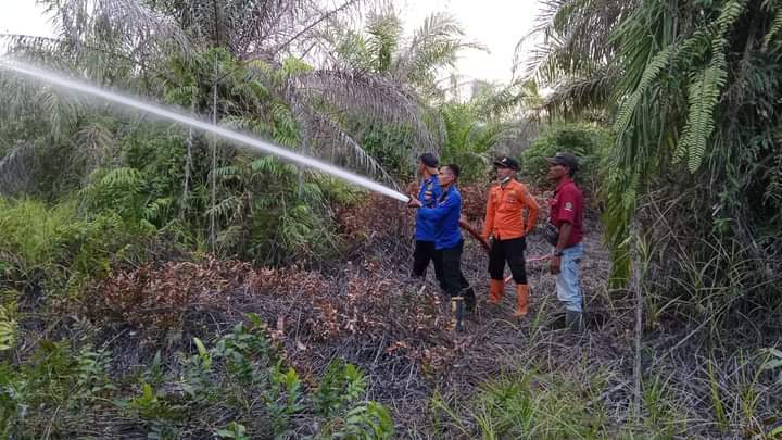 9 Bulan, 23 Kasus Kebakaran Terjadi di Mesuji, Ini Rinciannya