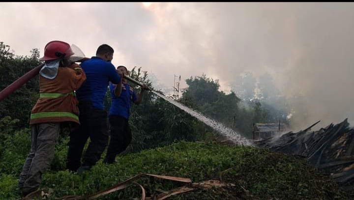 Mesuji Catat 2 Kebakaran Lahan, Disini Lokasinya