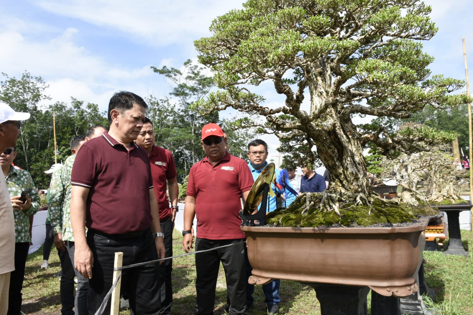 Tulang Bawang Barat Gelar Kontes Bonsai Nasional, Pj Bupati Sebut Akan Berdampak pada Perekonomian