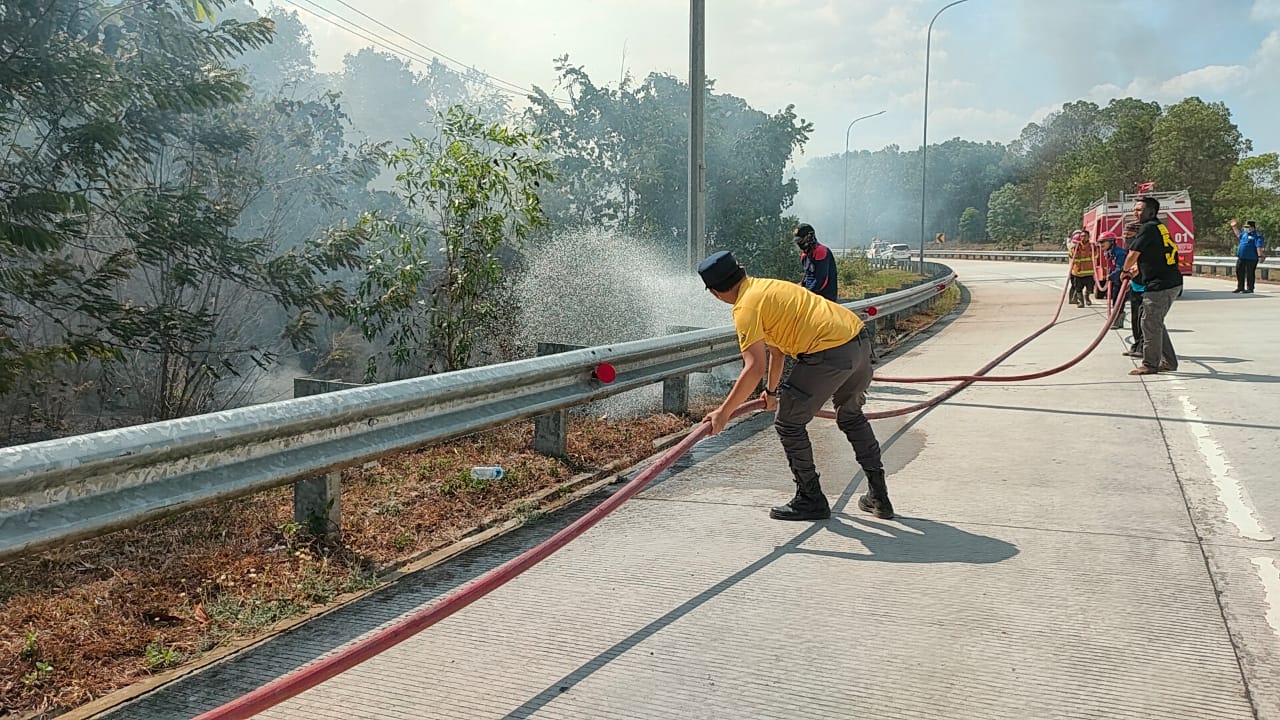 Kebakaran Lahan Disisi JTTS Mesuji Terjadi, Petugas Damkartan Berjibaku dengan Api