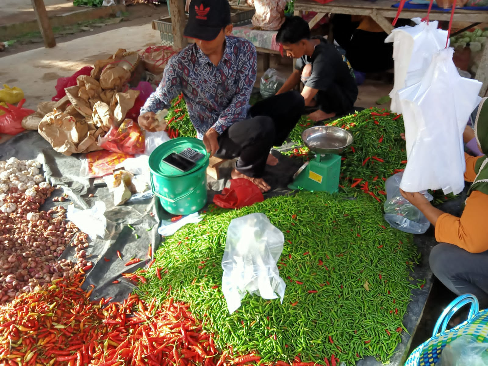 Harga Terbaru Bawang Merah Brebes di Pasar Tulang Bawang Barat