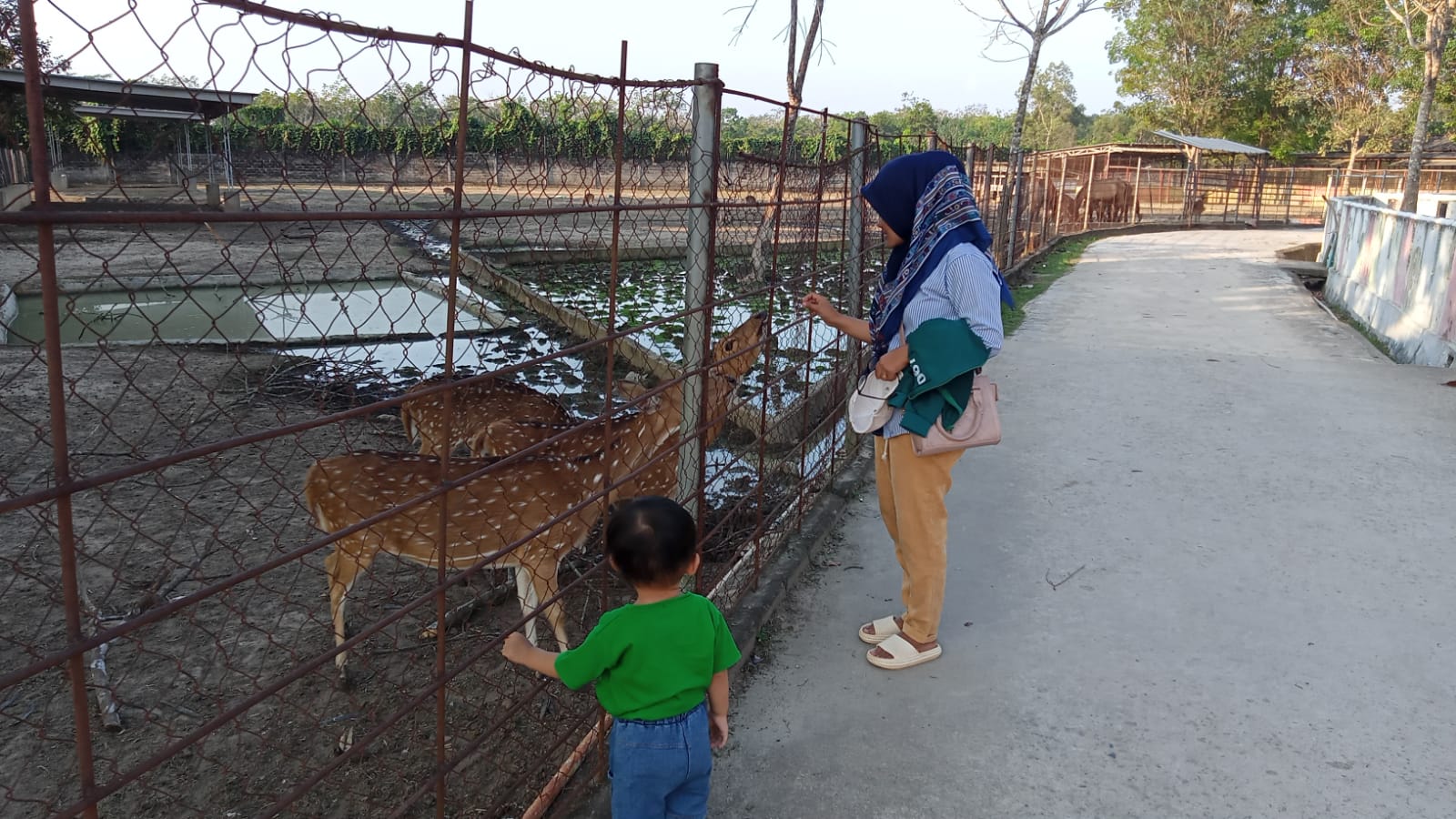 Wisata Taman Keanekaragaman Hayati Mesuji Ditutup Sementara, Oh Ternyata Ini Penyebabnya