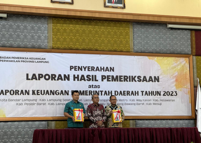 Selamat! Pemkab Mesuji Kembali Raih Opini WTP dari BPK RI