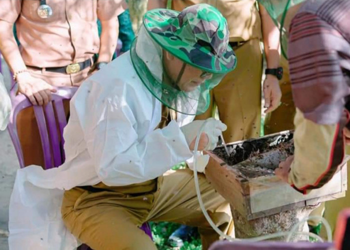 Mulai Budidaya Lebah Klanceng, Tulang Bawang Sudah 5 Kali Panen