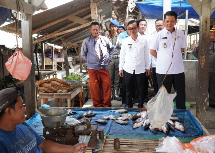 Blusukan ke Pasar Tradisional, Pj Bupati Tulang Bawang Barat Firsada Pantau Ketersediaan Bahan Pokok