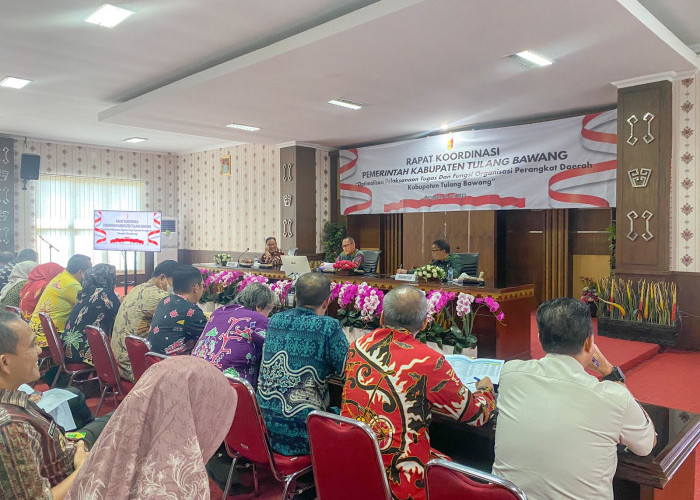 Tulang Bawang Sebar 1.690 Bendera Merah Putih, Ini Tujuannya