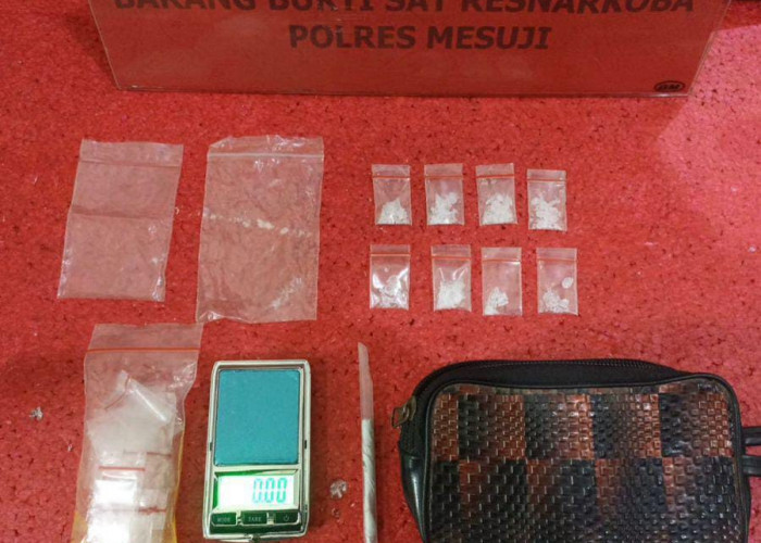 Tangkap Pengedar Narkoba, Polres Mesuji Sita 8 Paket Sabu Siap Edar