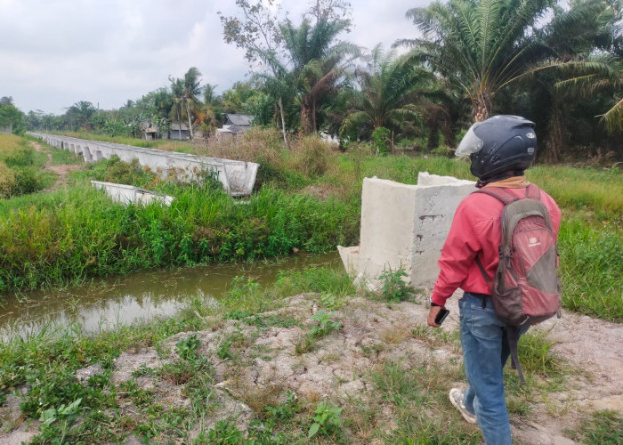 Sudah Lama Mangkrak, Pembangunan Irigasi Gantung Dikeluhkan Petani Mesuji