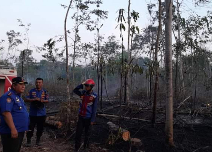 Petani Mesuji Cemas, Musim Kemarau Kebun Rawan Terbakar