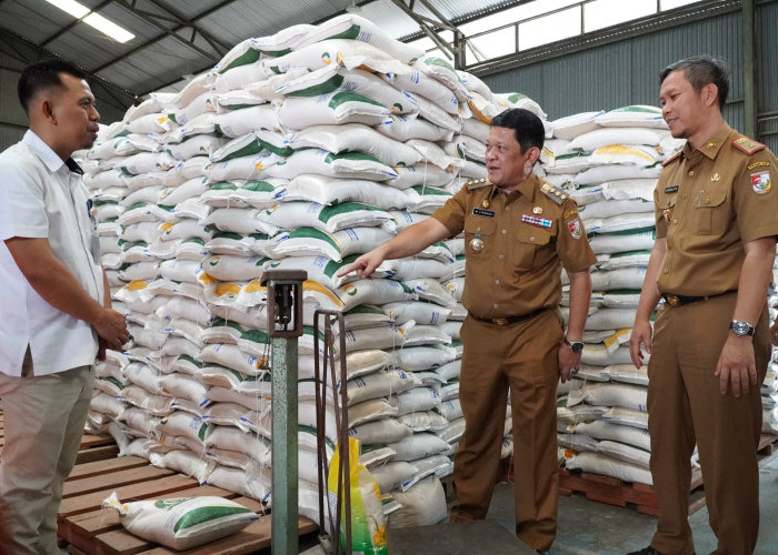 Pemkab Tulang Bawang Barat Kembali Salurkan Bantuan Beras Periode November, Begini Kata Pj Bupati Firsada