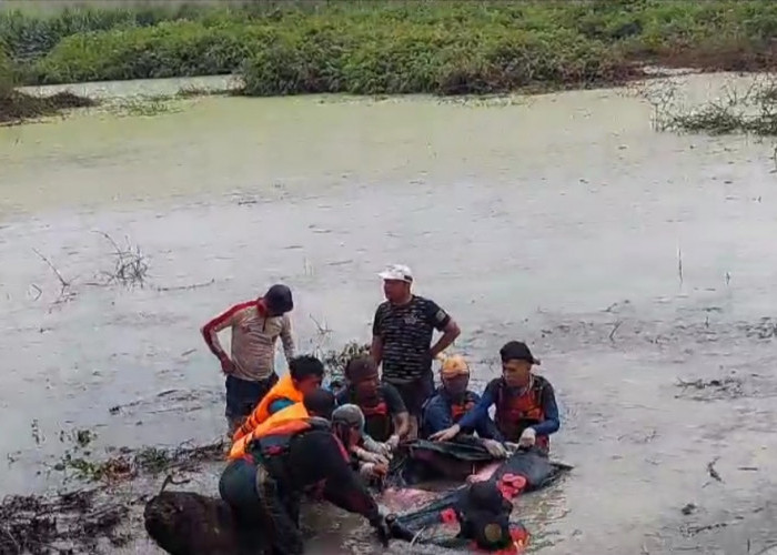 Akhirnya Ditemukan, Begini Kondisi Warga Tulang Bawang yang 3 Hari Hilang Tenggelam di Embung Perusahaan Tebu