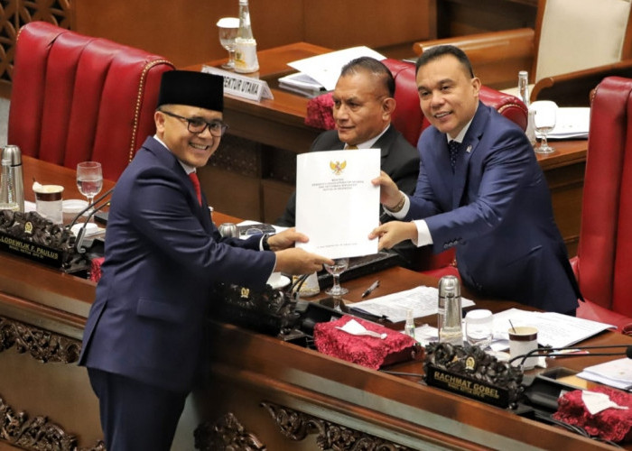 Bocoran Tenggat Waktu Pemerintah Daerah Menata Tenaga Honorer, Wajib Selesai Sebelum Jatuh Tempo