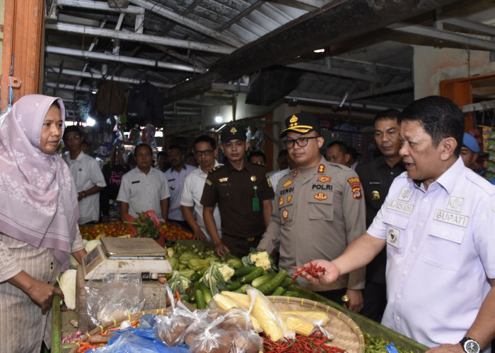 Jaga Stabilitas Harga, Pj. Bupati Tulang Bawang Barat M. Firsada Monitoring Pasar