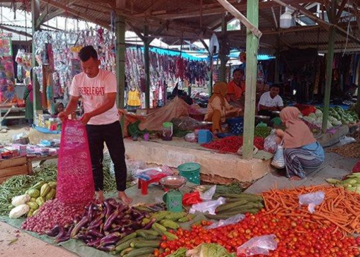 Jelang Akhir Tahun, Harga Tomat di Mesuji Melambung Tinggi