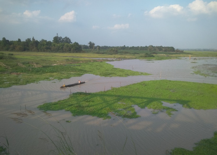 Ikan Sungai Kerap Diracun, Nelayan Way Kiri Tulang Bawang Barat Merugi Besar