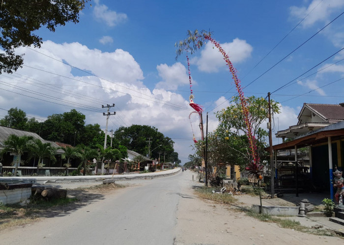 Peringati Galungan, Umat Hindu Pasang Ini, Dapat Memberi Kemakmuran