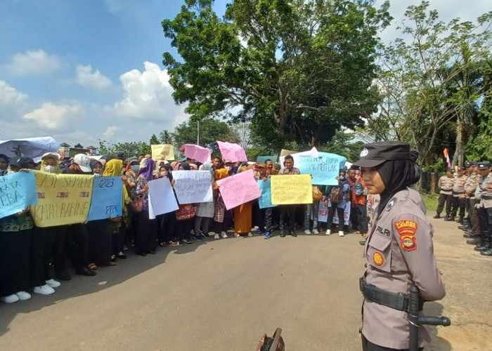 Guru Honorer di Lampung Timur Demo, Ini Tuntutannya