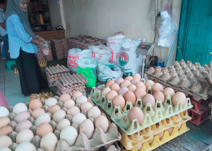 Harga Telur di Mesuji Lampung Capai Rp 30 Ribu