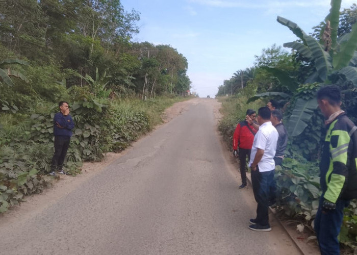 Mesuji Bangun 7,2 Kilometer Jalan Rigid Beton, Ini Rincian dan Lokasinya