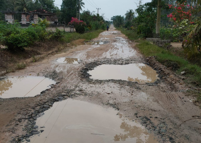 Nahloh, Gara-gara Ini Anggota DPRD Lampung Tengah Ingin Usulkan Raperda Portal Jalan