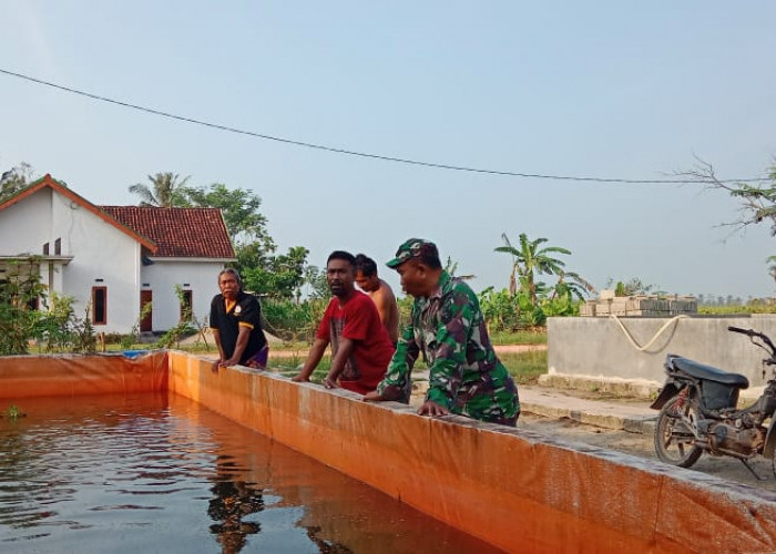 Babinsa Koramil Rawajitu Kodim Tulang Bawang Ajarkan Warga Manfaatkan Lahan Kosong, Bisa Untuk Usaha Ini