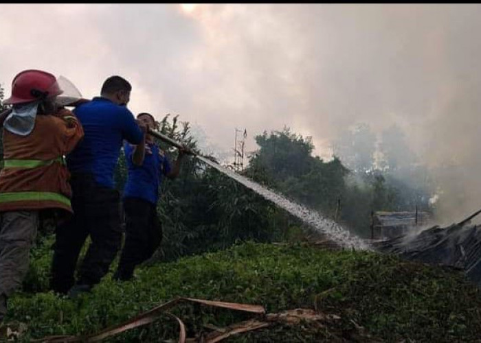 Warning! Pemkab Mesuji Ingatkan Warga Tidak Buka Lahan Dengan Cara Dibakar