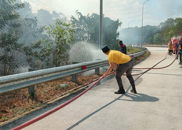 Kebakaran Lahan Disisi JTTS Mesuji Terjadi, Petugas Damkartan Berjibaku dengan Api