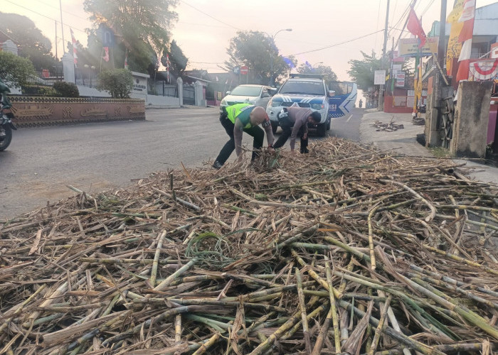 Bentuk Tanggung Jawab, Personel Polres Lampung Utara Punguti Batang Tebu yang Berserakan Dijalan