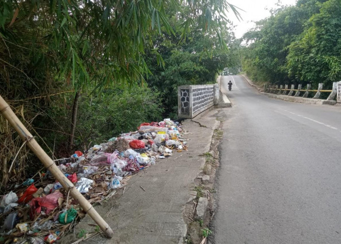 Dinas Lingkungan Hidup Lampung Utara Ajak Masyarakat Buang Sampah Ditempat Resmi