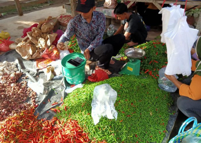 Harga Terbaru Bawang Merah Brebes di Pasar Tulang Bawang Barat