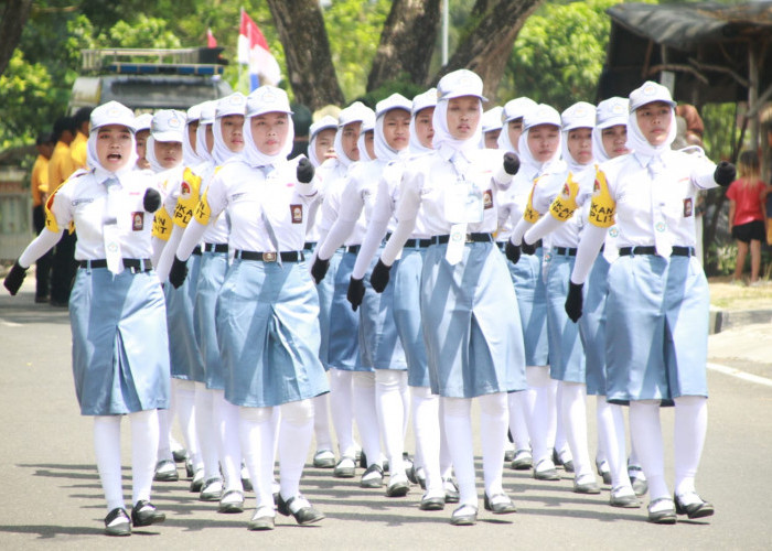 Danramil Menggala Hadiri Pelepasan Lomba Gerak Jalan, Begini Pesannya Kepada Peserta