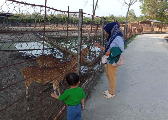 Wisata Taman Keanekaragaman Hayati Mesuji Ditutup Sementara, Oh Ternyata Ini Penyebabnya