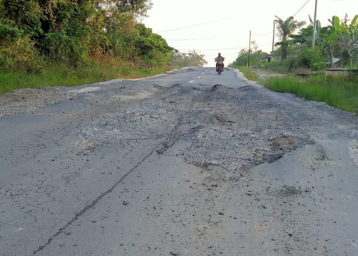 Infrastruktur Berusia Pendek, Begini Kata Ketua DPRD dan Kejari Mesuji